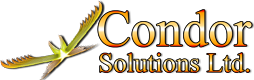 Condor POS Solutions