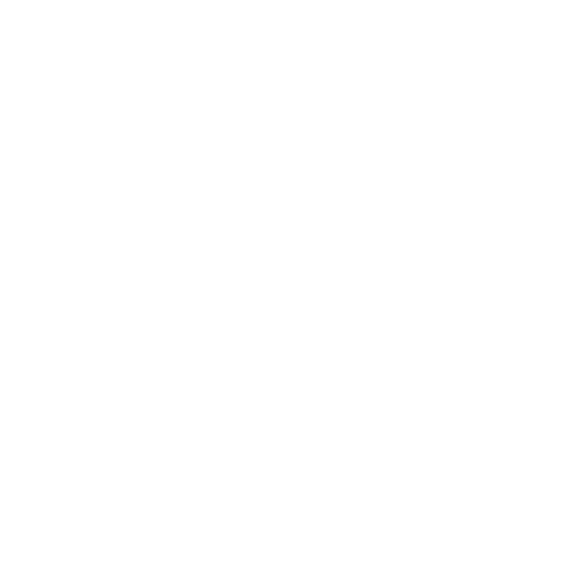 Customer Loyalty Program icon