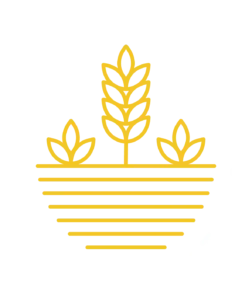 Unboxed-Market-Logo-Dark-252x300