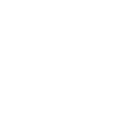 Liquor store POS system icon representing Auto-Star’s Star-Plus point of sale for liquor retailers.