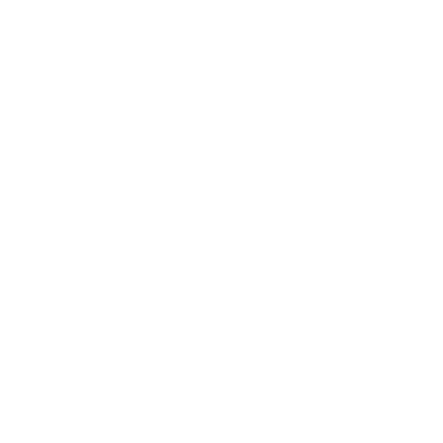 Liquor store POS system icon representing Auto-Star’s Star-Plus point of sale for liquor retailers.